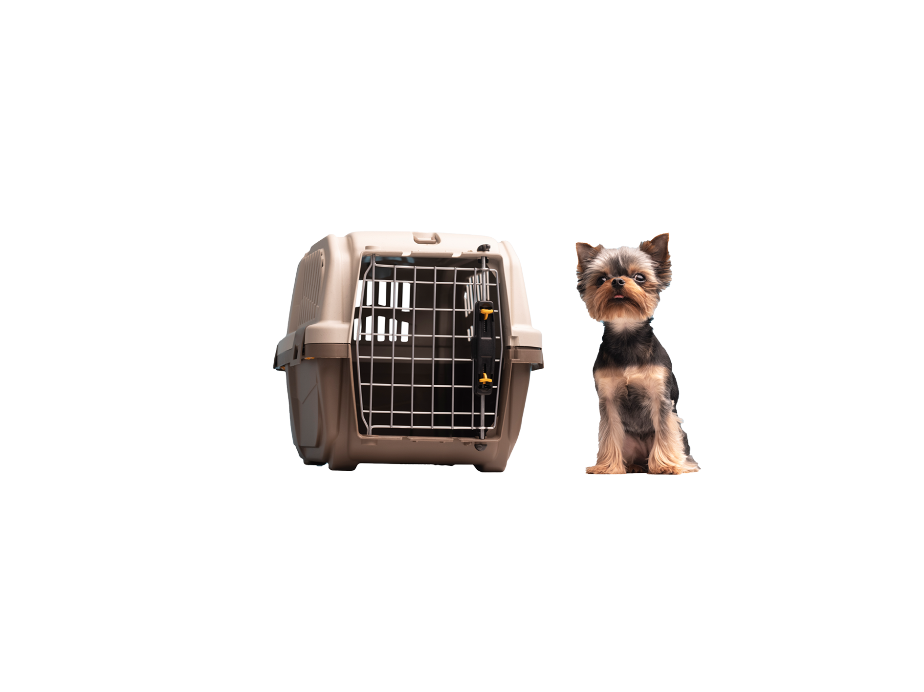 Kfzparts24_Hundetransportbox_Transportsysteme